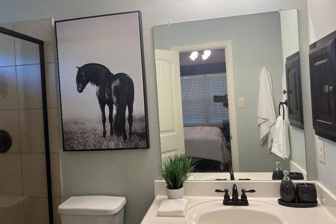 Smaller bedroom bathroom view - Highly Secured and Fully Furnished Luxurious House in between Dallas, Richardson and Garland