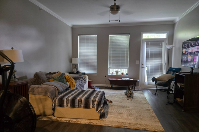 Living Room - Sublease Available Now Apartments