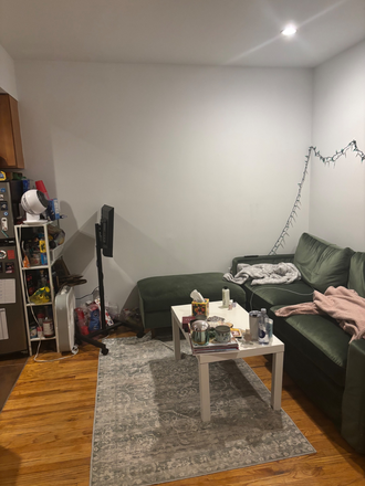 living room - Looking for a roommate to join my lease in the LES starting July 1! Apartments