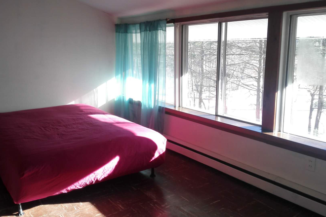 Bedroom - Great Location-private room in a walking distance to Storrs Campus & Grocery store House