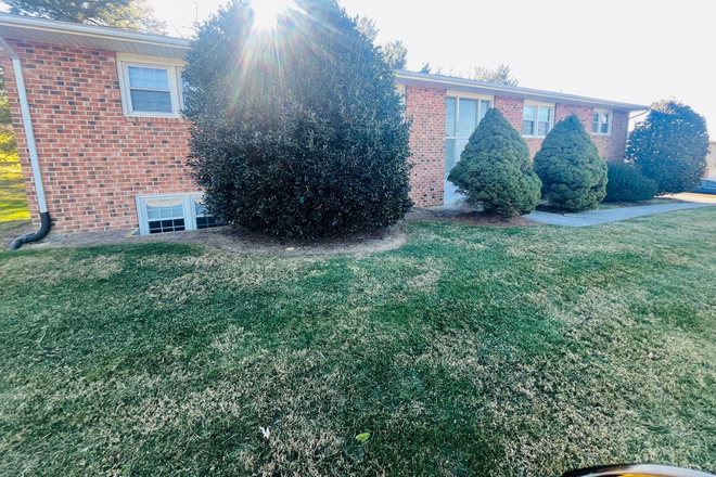 Photo - 2 Bedroom, 1 Bath Apartment