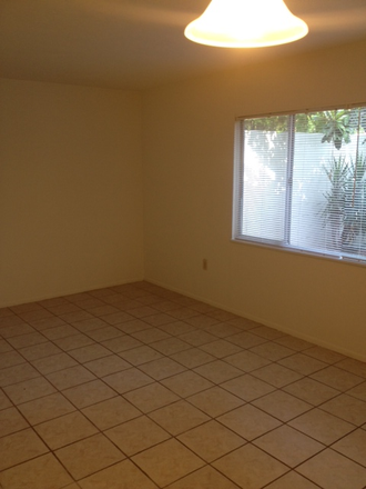 Living Room - Large 1/1 or 2/1 apt with private patio and W/D near UF campus