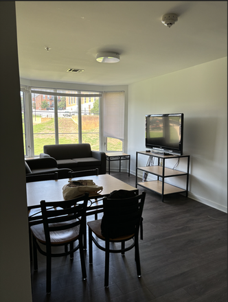 Living room - Bedroom in South Campus Commons 5 for summer