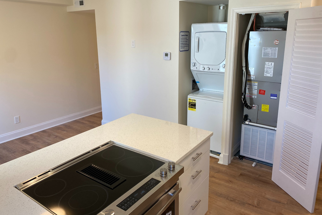 Kitchen Living Room - 4240 39th Street NW - AU / Tenleytown - 2 Bedroom / 2 Bathroom - In-Unit W/D Apartments