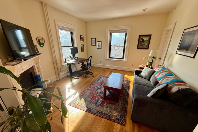 Living room - Spacious 1-Bedroom / 1-Bath Apartment <1 min from Harvard Law Campus