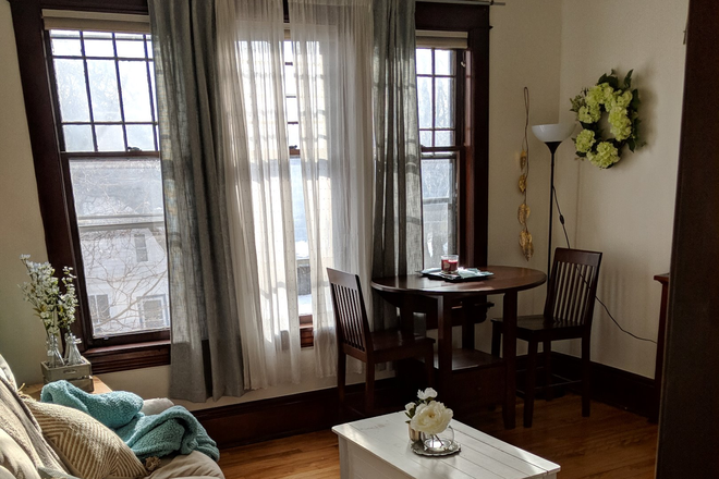 Living Room - 325 Wilder Street #2 - Large 2 Bedroom + Den Apartment - Easy Walk to Campus