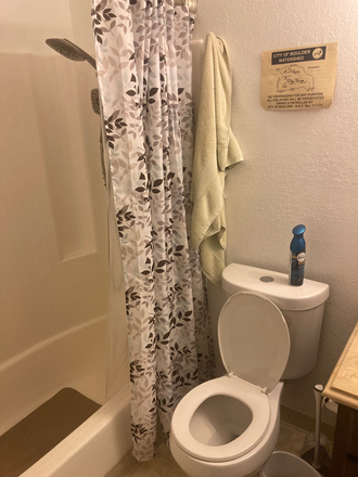 Bathroom 2 - 1 Bedroom in 3-Bed Apartment in North Boulder for Rent