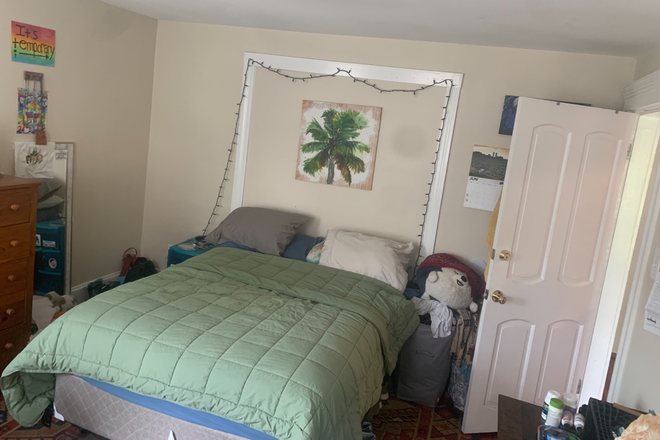 Sunny Bedroom - Sunny & Spacious Private  Bedroom minus to BU, Tufts, Cambridge & Boston! Only $1,250! Apartments
