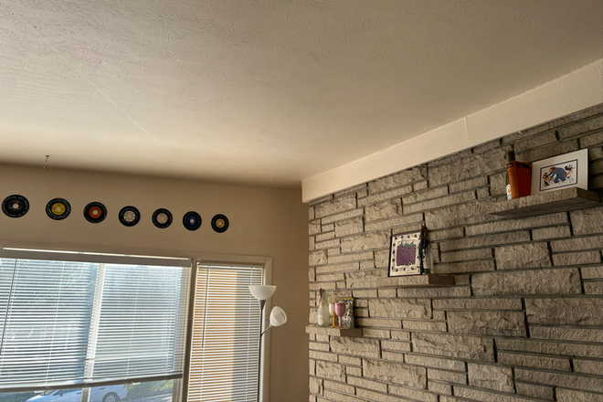 Living room - 1 Bedroom in Duplex near King Soopers, SKIP bus ride away from CU Main Campus Duplex