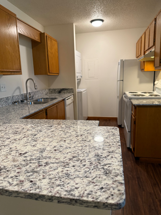 Large granite bar and new appliances - Charming 1BR/1BA Apartment with Treehouse Vibes - Walk to U of A!