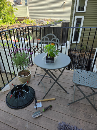 Patio - Sunny townhouse with garden, 3 bedrooms, semi furnished if needed, pets, at Kendall Sq, MIT, MGH
