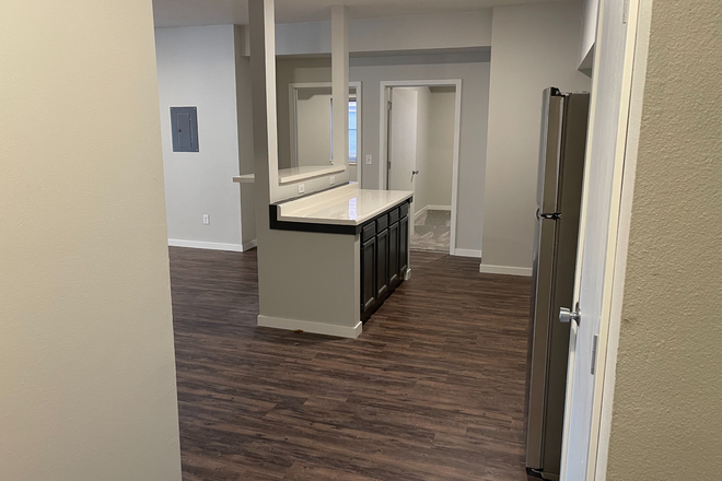 Kitchen - 25/26 -   5-Bedroom Apartment 2 Blocks from Campus