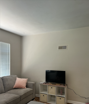 Living room - Spring+Summer Sublet Duplex