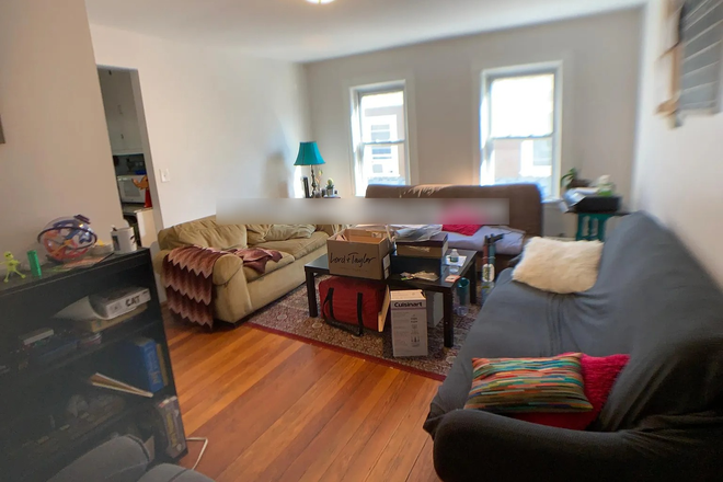 - - Close to Campus! 4 bed 1 bath w/ Laundry Available 6/1/26 Apartments