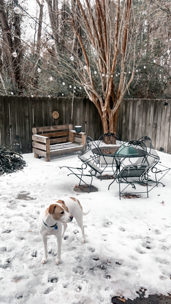 Back Patio concrete space - Single Story House (3 BR/ 2 BA)  close to campus and Folly Beach! One bedroom currently available