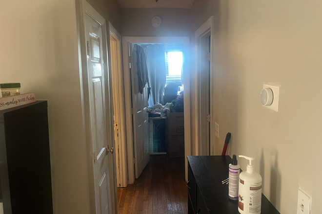 hallway - 15 minute walk to UMass/5 minute walk to Savin Hill T Apartments