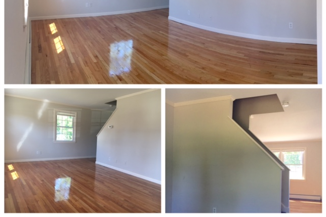 Gorgeous hardwood floors - Avail June 1, 2026 Large RENOVATED four bedroom apartment with parking and laundry