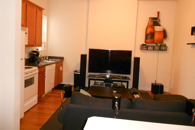 Living/Kitchen - One Bedroom Apartment on the second floor