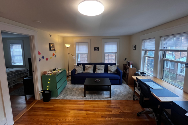 Living room - 11 Shaler Lane Apartments