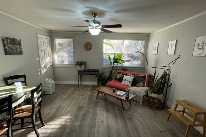 Living Room - Quiet Residential 2BR/1BA, 1 mile to MUSC via 17 or 61 Apartments