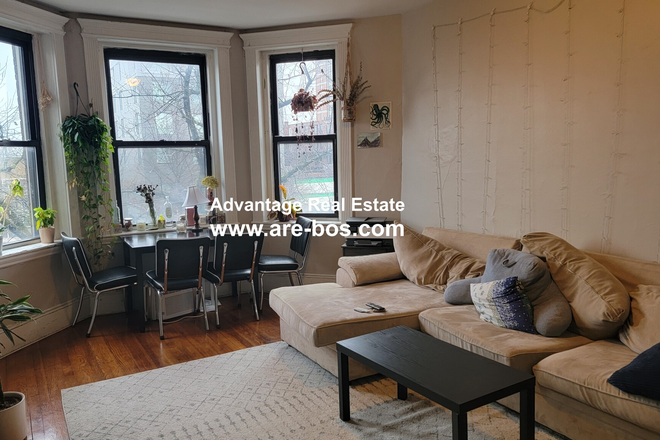 living room - 1066 Commonwealth Ave - RENOVATED OFF CAMPUS HOUSING!! HUGE BEDROOMS! Apartments