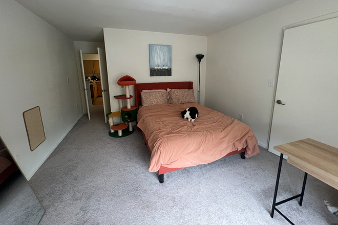 bedroom up for rent - Eaves West Windsor - looking for a new roommate Apartments