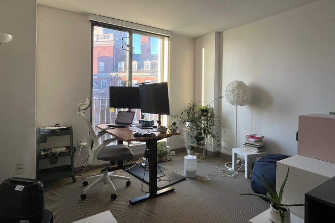 Window/exterior/south side - Studio Sublease | Spring Semester | January to May/June | HUH | Harvard Affiliates Only Apartments