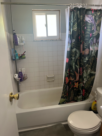 Bathroom from doorway - 5 N 22nd Street Apt 3