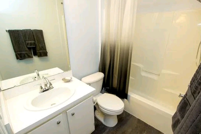 Bathroom - Countryside at the University- Less than 2 miles from UF Apartments