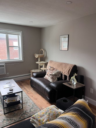 Living room - Private Bedroom in a modern 2 bed/1 bath in Medford Apartments