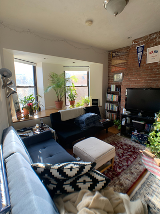 Living room - Nice 1-bed on Gainsborough St. Available 9/1/24 Apartments