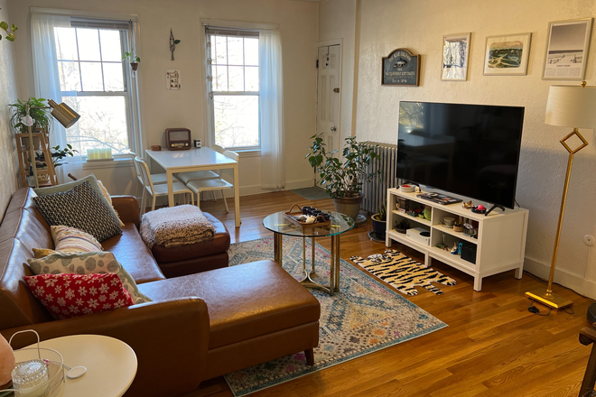 living room - Spacious Brighton 2 bed with updated kitchen and balcony for 6/1 - NO FEE!