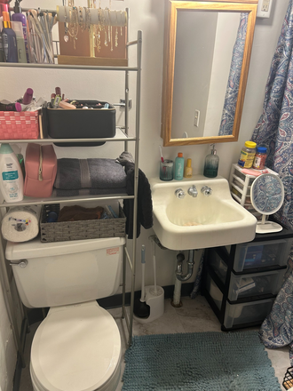 Bathroom - 501 W College Ave Sublease Apartments