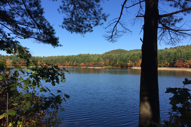 Our "front yard" - Cooperative House & Water View location (Summer discount of $100/month)