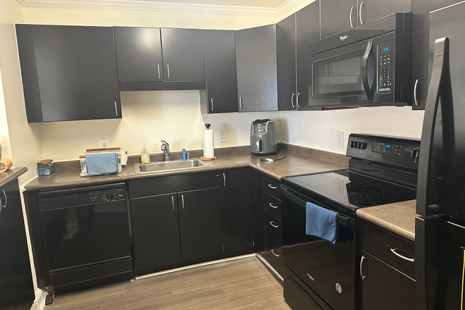 Kitchen - The Avalon 2 Bedroom 2 Bathroom Spring Semester Subletters Needed