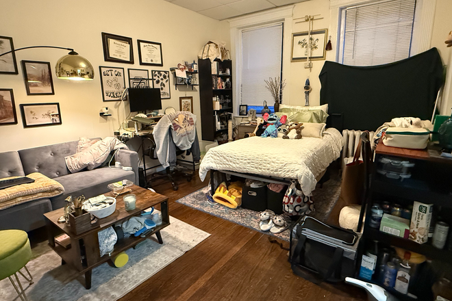 living/sleeping area - Cozy Fenway Studio in managed building for 9/1 - NO FEE!
