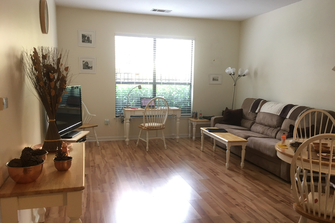 Living room - Excellent apartment since August 23, 2025