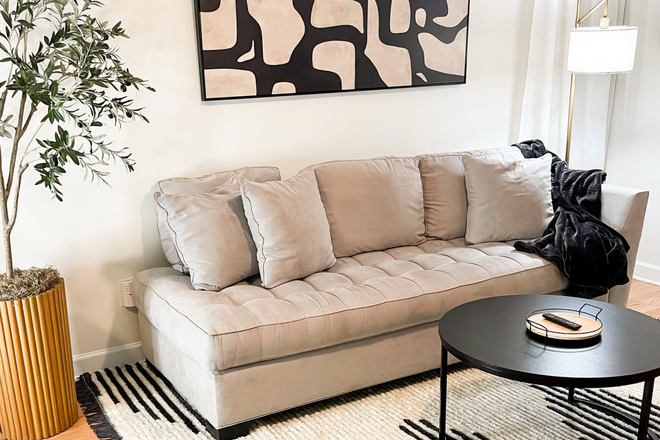 Living Room - Furnished 1BR/1BA near Emory (Clairmont shuttle < 1 mile) — quiet, private entry