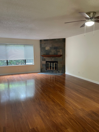 Living room and fireplace - Renaissance Park II Condo