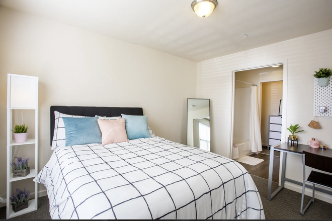 Bedroom - 3 Bedroom Lark Apartment: 1 BD/1 BATH FOR SPRING SEMESTER