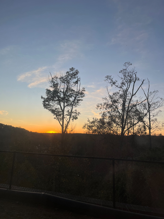Window View - Bellamy Apartments Dahlonega