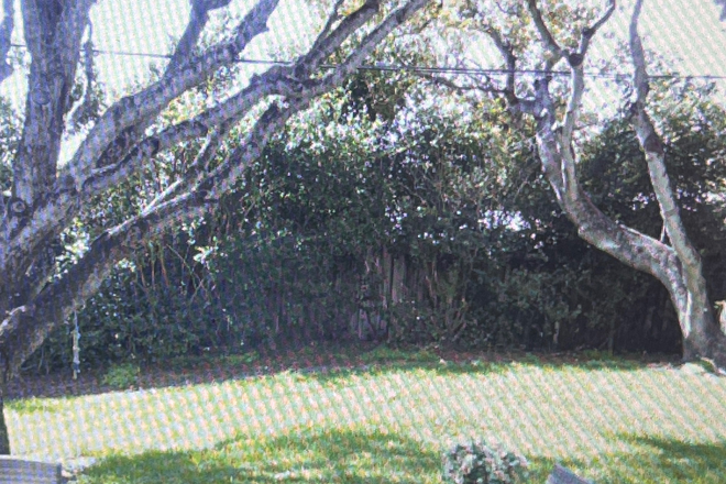 Back yard - 3 Separate  Rooms for Rent  in a townhouse for students to share completely furnished.