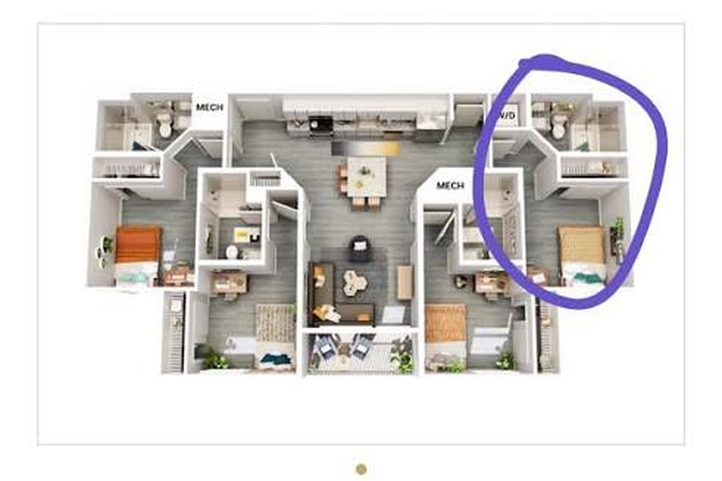 Floorplan (Unit D) - Subleasing at the Accolade Collegiate Village East - First month is free! Apartments