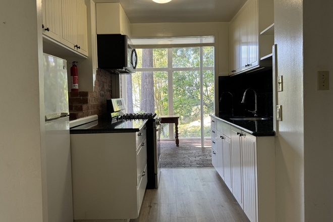galley kitchen facing the backyard - Spacious 2-bedroom apt on Berkeley Hills, minutes to campus