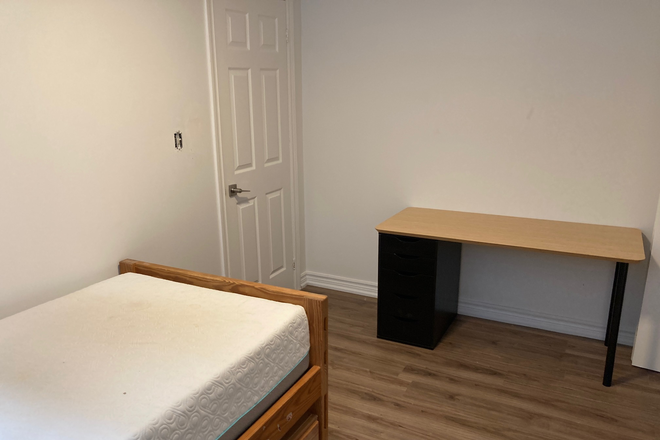 large bedroom - Two bright south facing furnished room in basement of house.  Shared full kitchen, bathroom, laundry