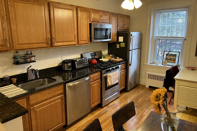 kitchen - Cozy Studio in Prime Brighton Location for 7/1