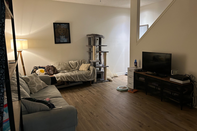 Living room area. Furnished, but room for some more stuff - The French Quarter