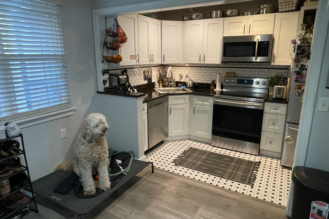 Kitchen - Quiet Residential 2BR/1BA, 1 mile to MUSC via 17 or 61 Apartments
