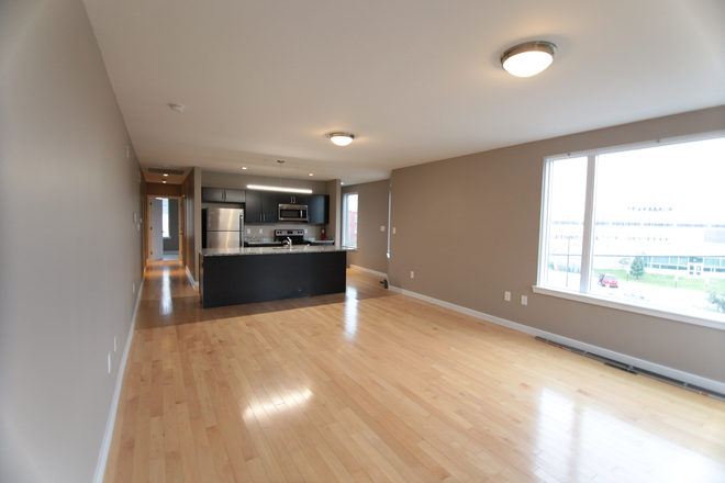 Living Room - OCP - Gorgeous Spacious 4 Bed 2 Bath With Views of Campus