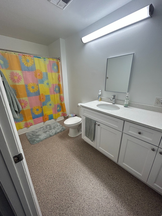 Bathroom - South Campus Commons 5 Lease Transfer Apartments